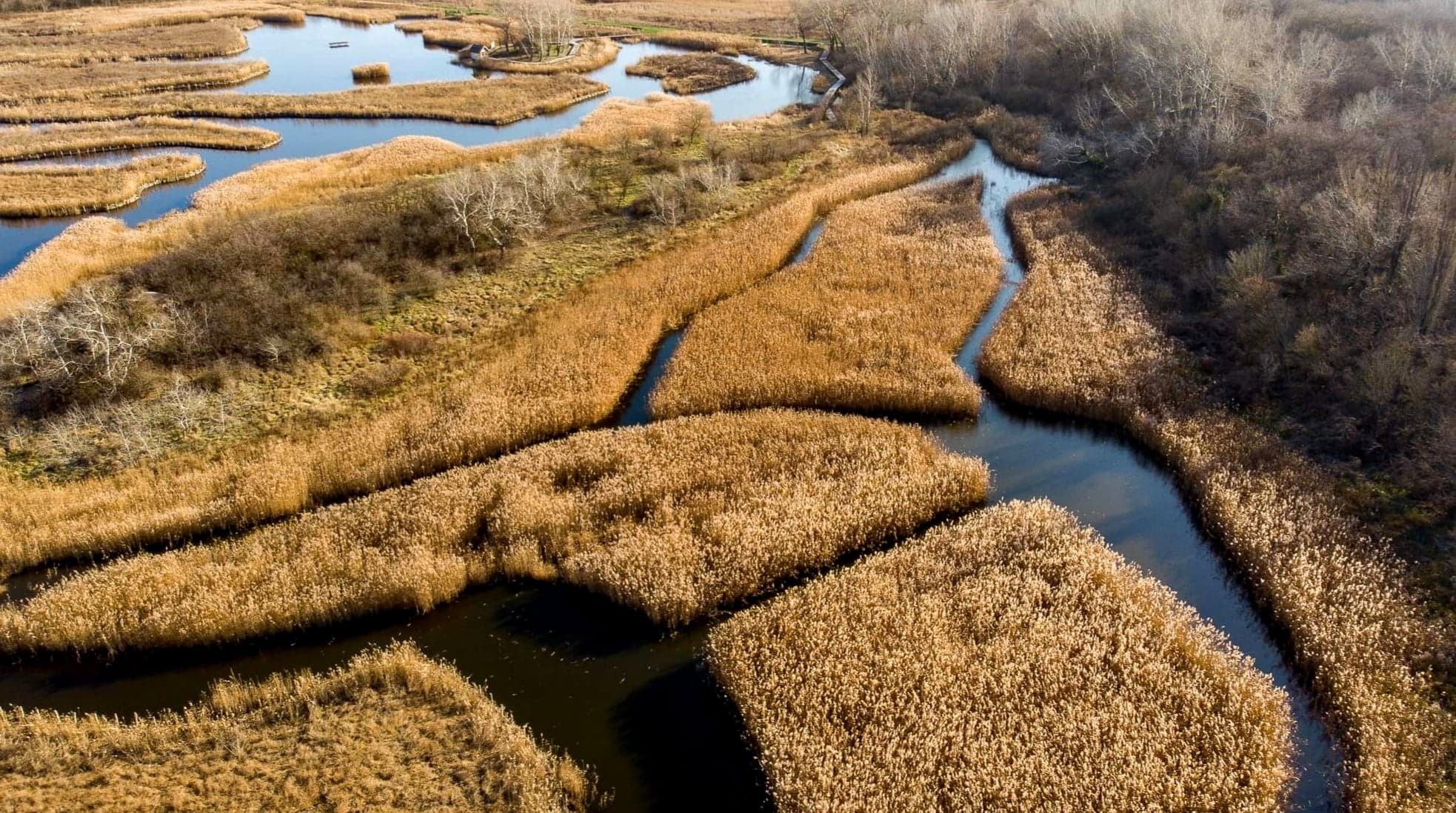 Szerelmes állatvilág - ökotúra lesz szombaton a Sóstón